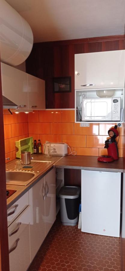 Appartement St Lary Soulan Pied Des Pistes Saint-Lary-Soulan Zewnętrze zdjęcie